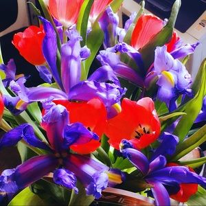 Meet your Posher, Cindy